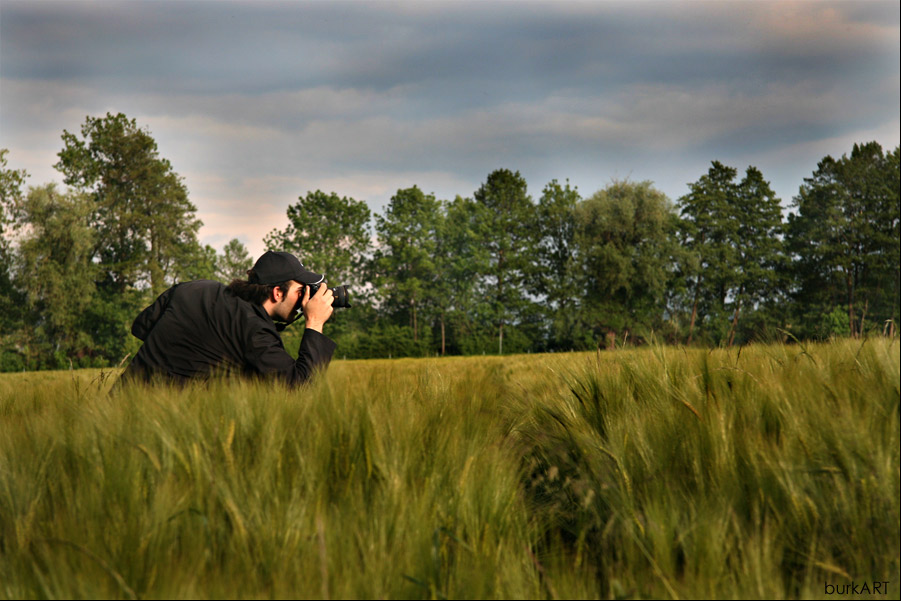 Ein Fotograf im Kornfeld