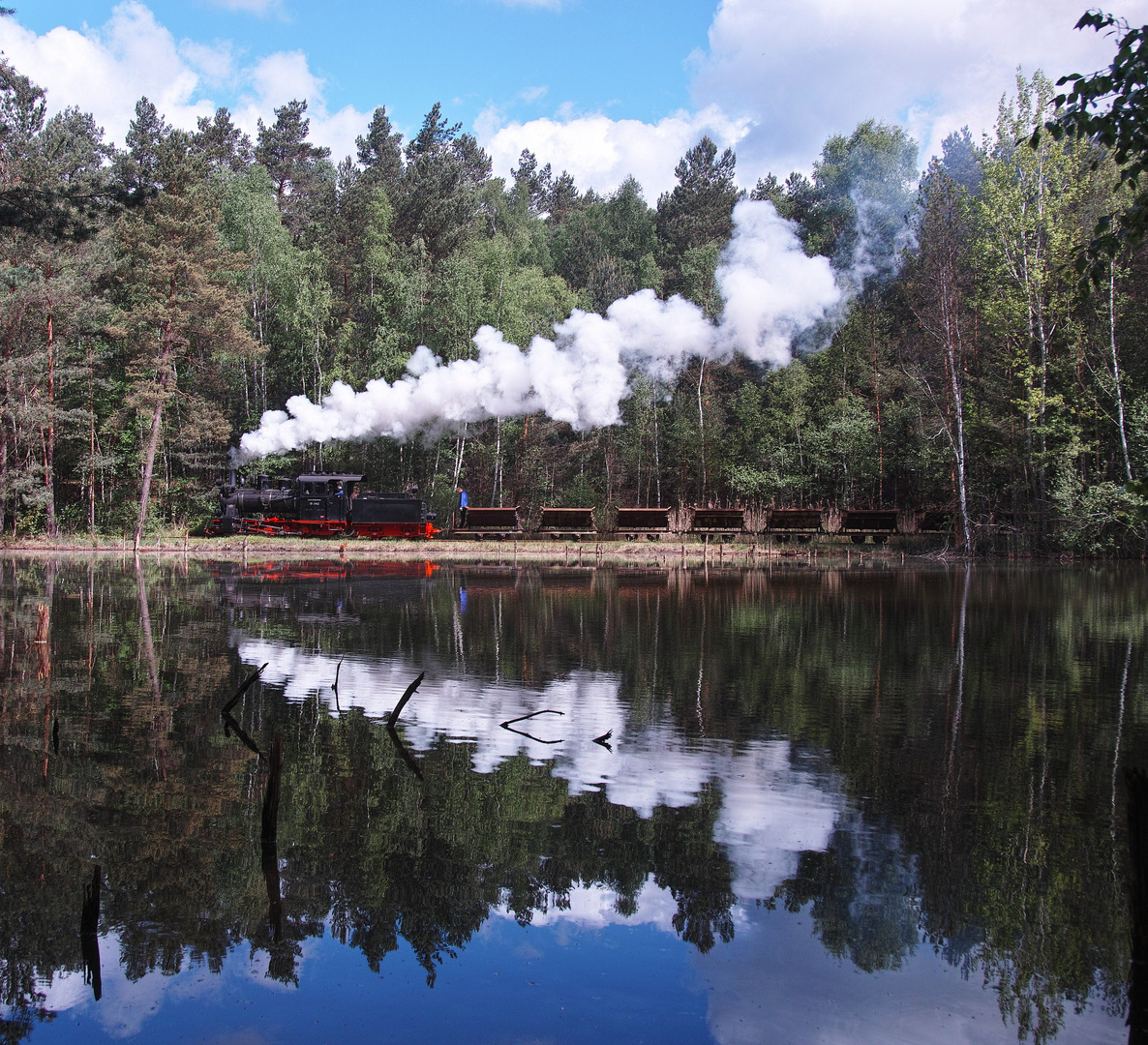 Ein Fotozug der Muskauer Waldeisenbahn ...