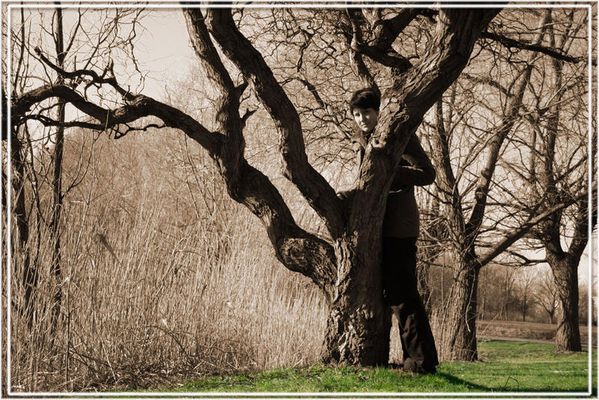 Ein Fräulein steht im Walde ...