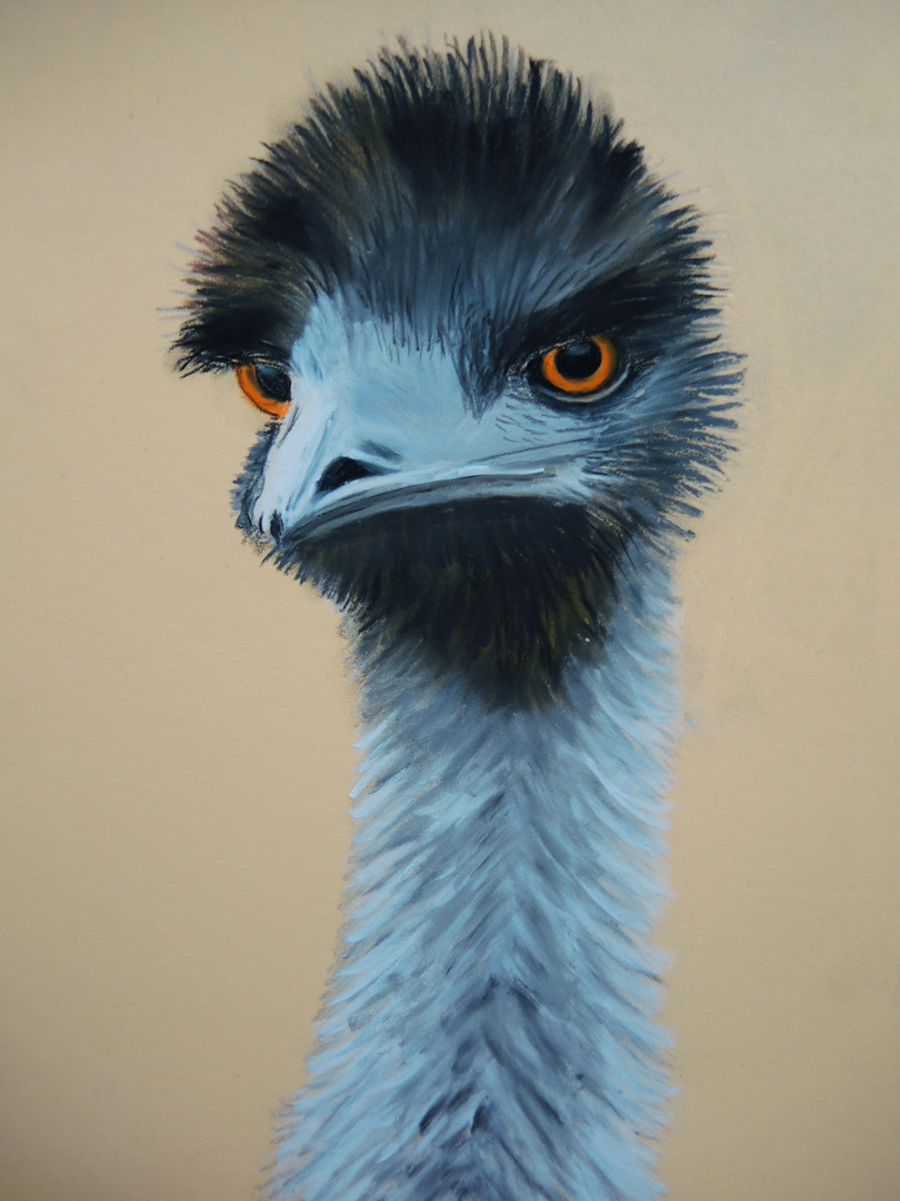 Ein frecher Emu im Porträt