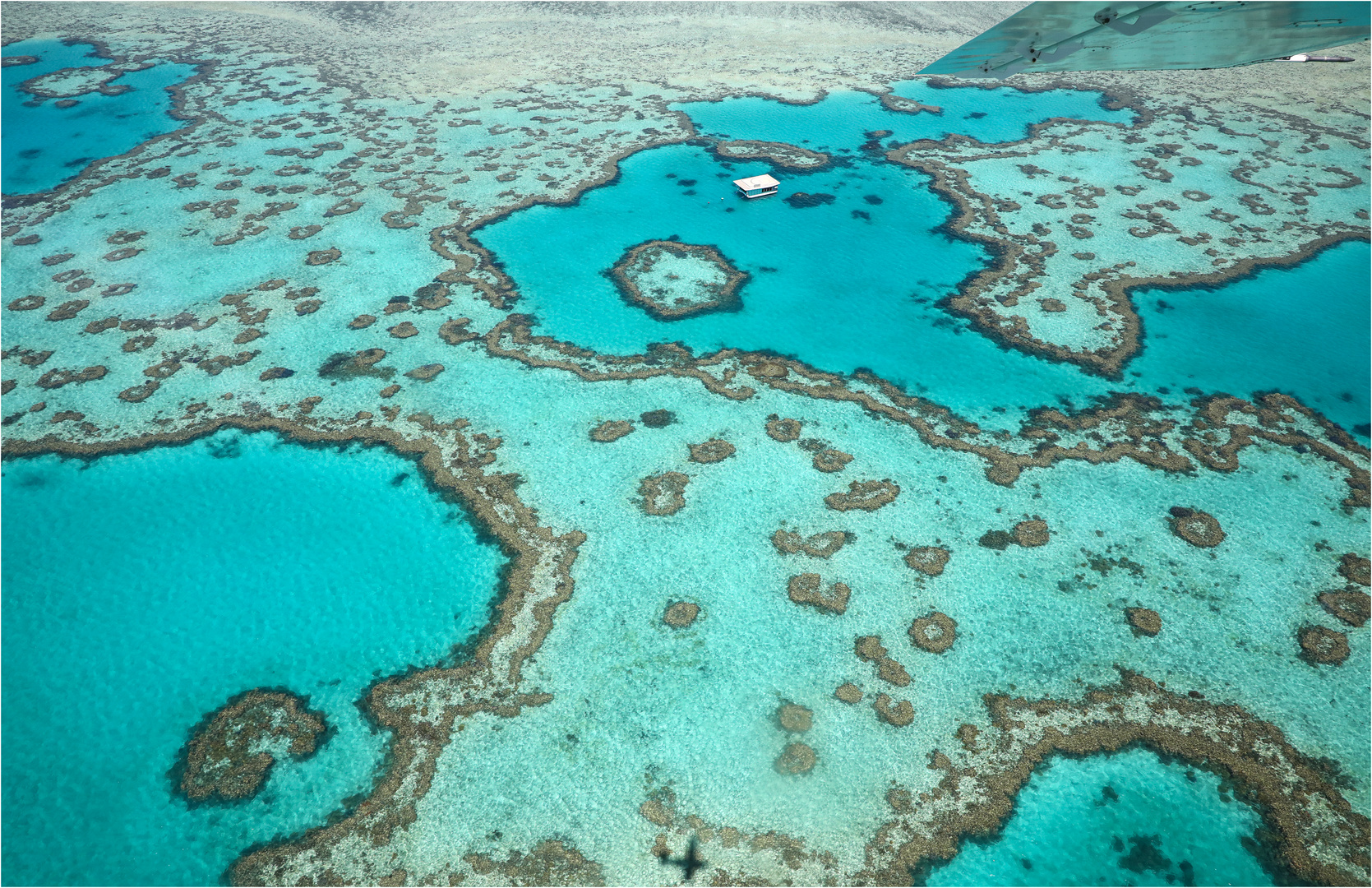Ein Fremdkörper im Great Barrier Reef