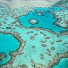 Ein Fremdkörper im Great Barrier Reef