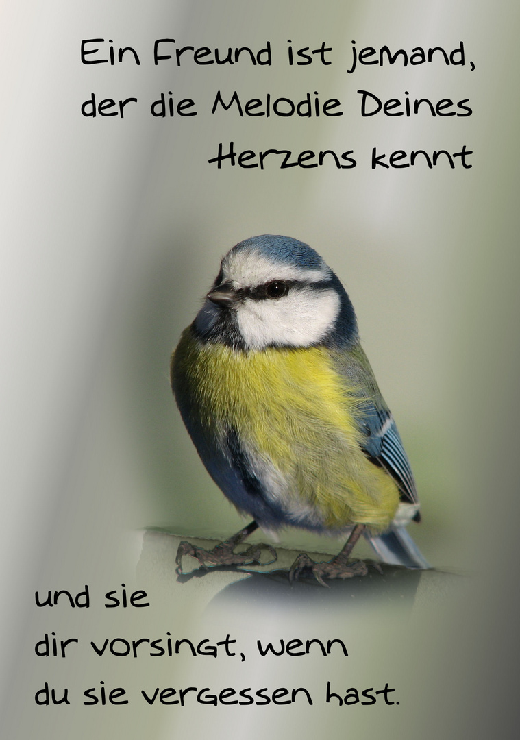 Ein Freund...