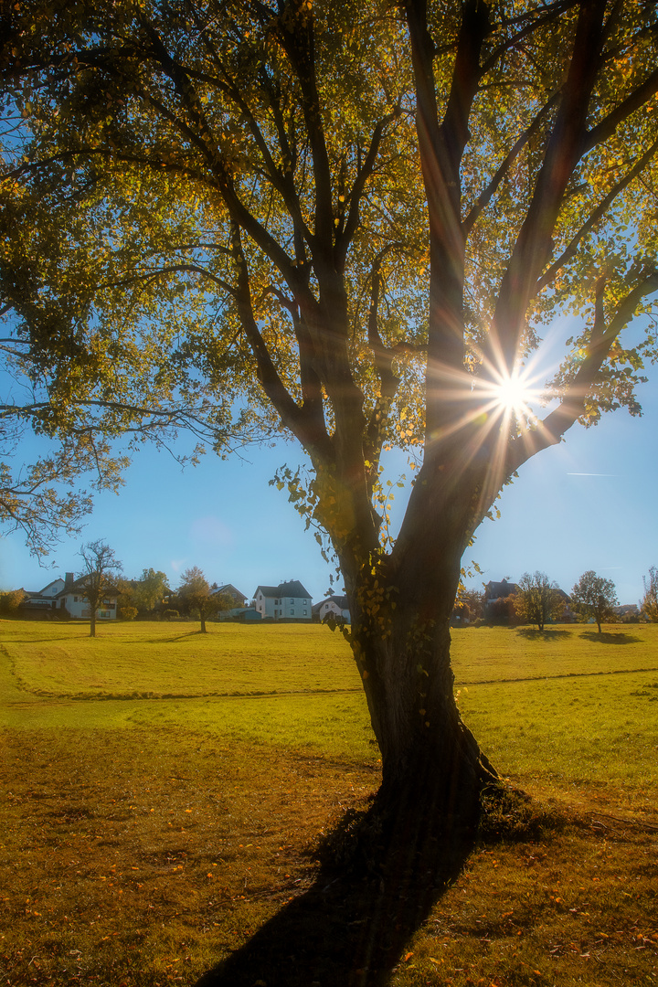 Ein freundlicher Herbsttag