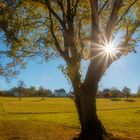 Ein freundlicher Herbsttag