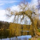 Ein freundlicher Tag im März mit Durchblick