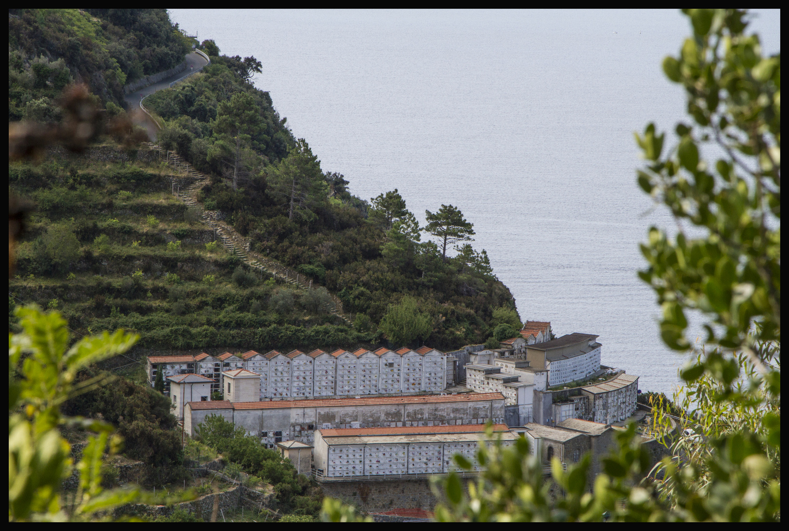 Ein Friedhof in den Terrassen von Cinque Terre