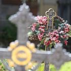 Ein Friedhof mitten in der Stadt Salzburg