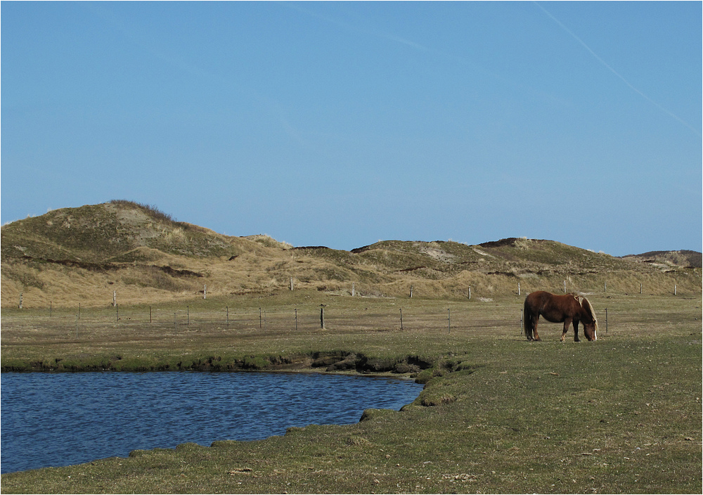 Ein friedlicher Tag auf Langeoog