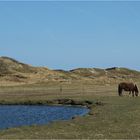 Ein friedlicher Tag auf Langeoog