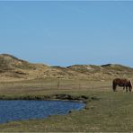 Ein friedlicher Tag auf Langeoog