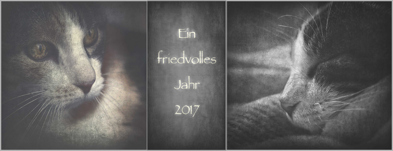 Ein friedvolles Jahr 2017