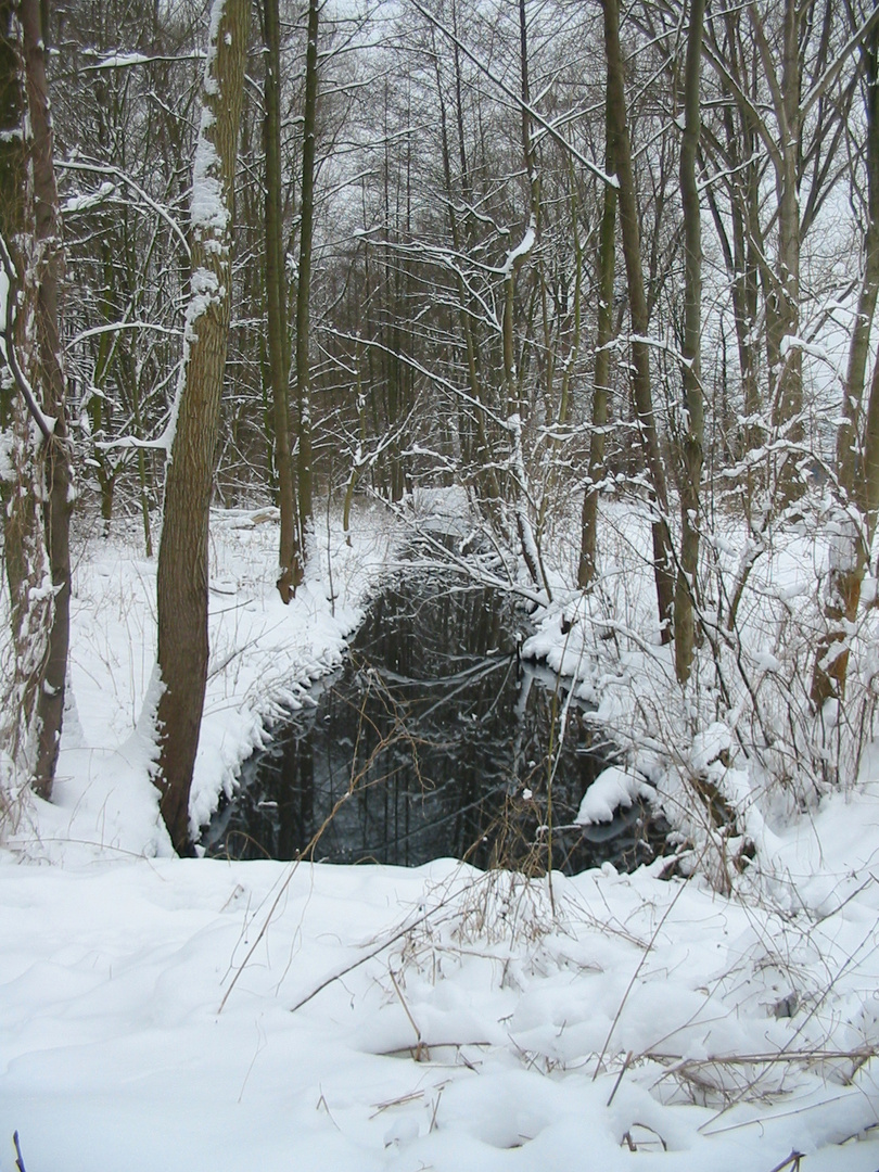 Ein frisch eingeschneites Flüsschen