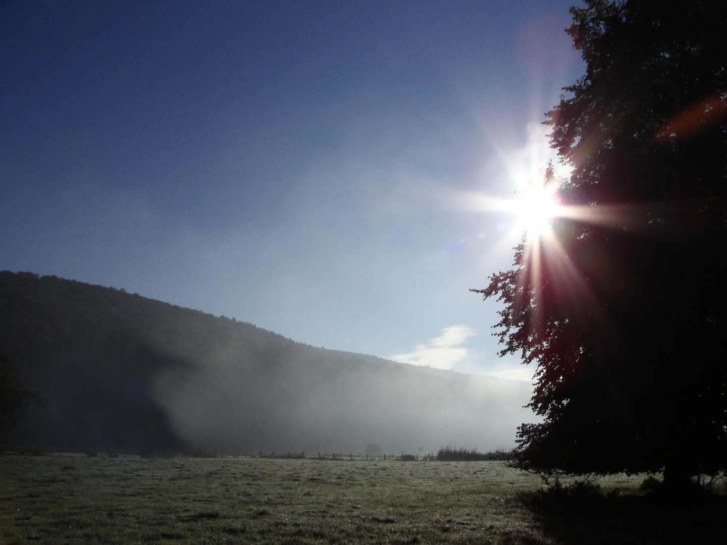 Ein frischer Sommermorgen an der Weser