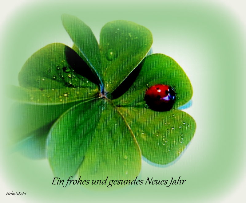 Ein frohes, gesundes und erfolgreiches neues Jahr Foto & Bild