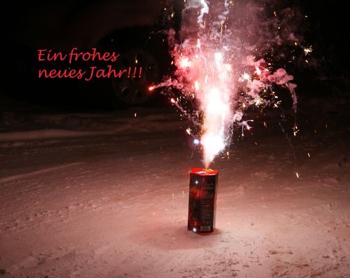 Ein frohes neues Jahr 2010