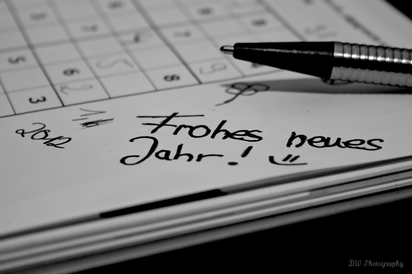 Ein Frohes Neues Jahr 2012! =)