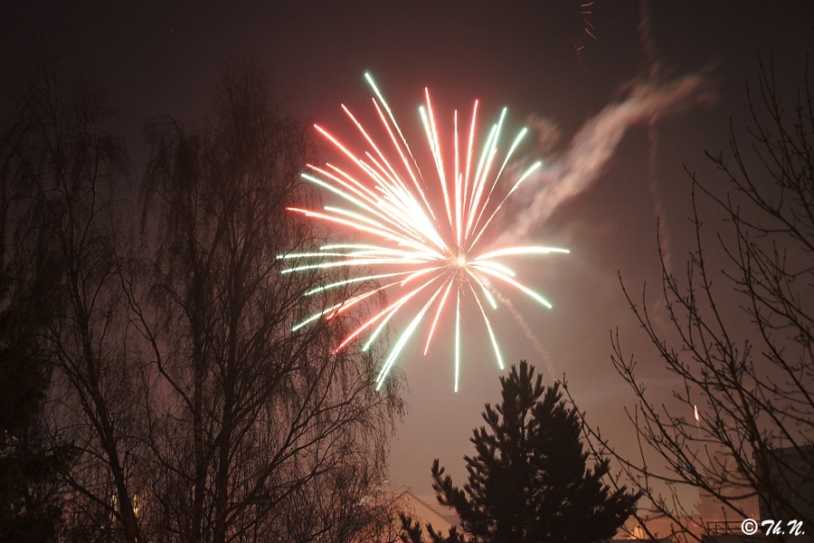 Ein frohes Neues Jahr 2013!