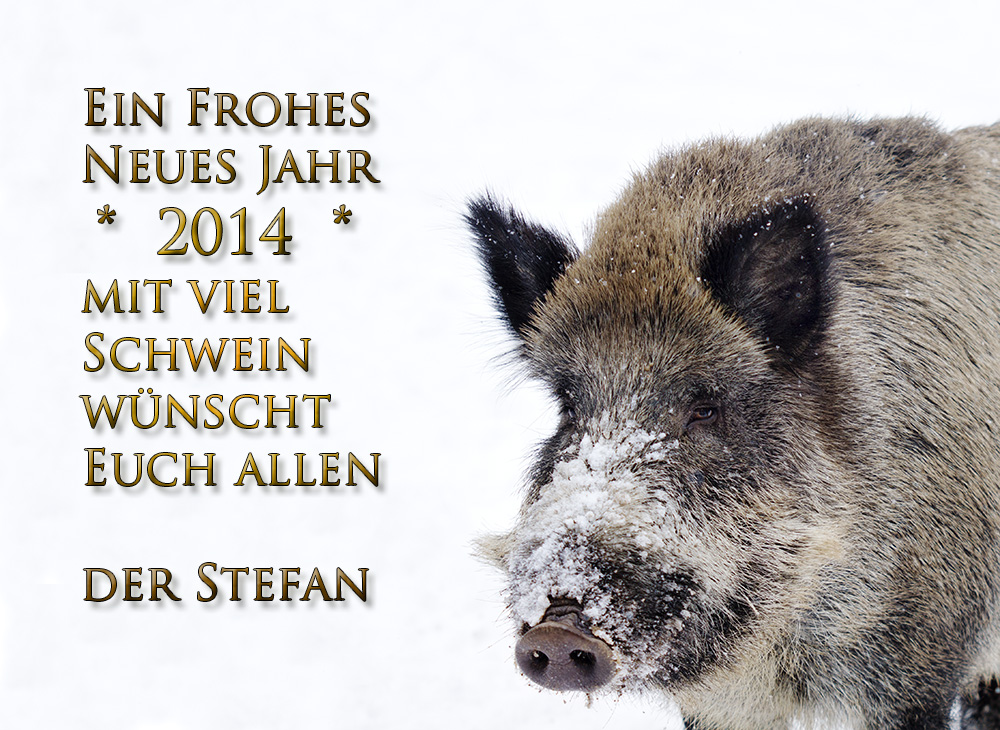 Ein Frohes Neues Jahr 2014