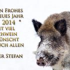 Ein Frohes Neues Jahr 2014