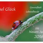 Ein Frohes Neues Jahr 2016...