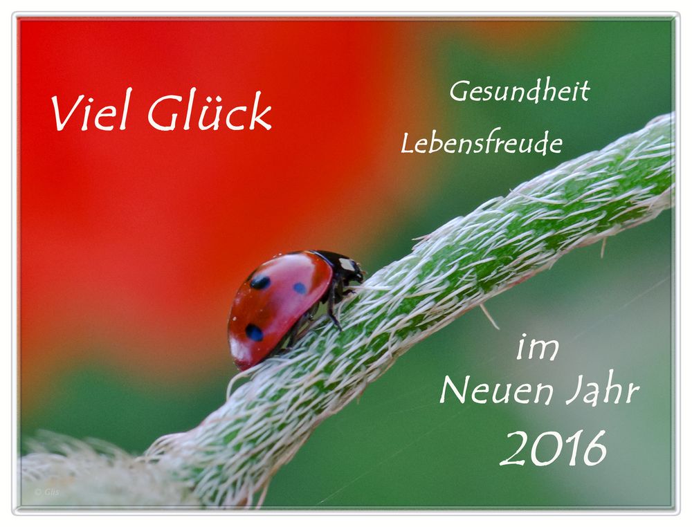 Ein Frohes Neues Jahr 2016...