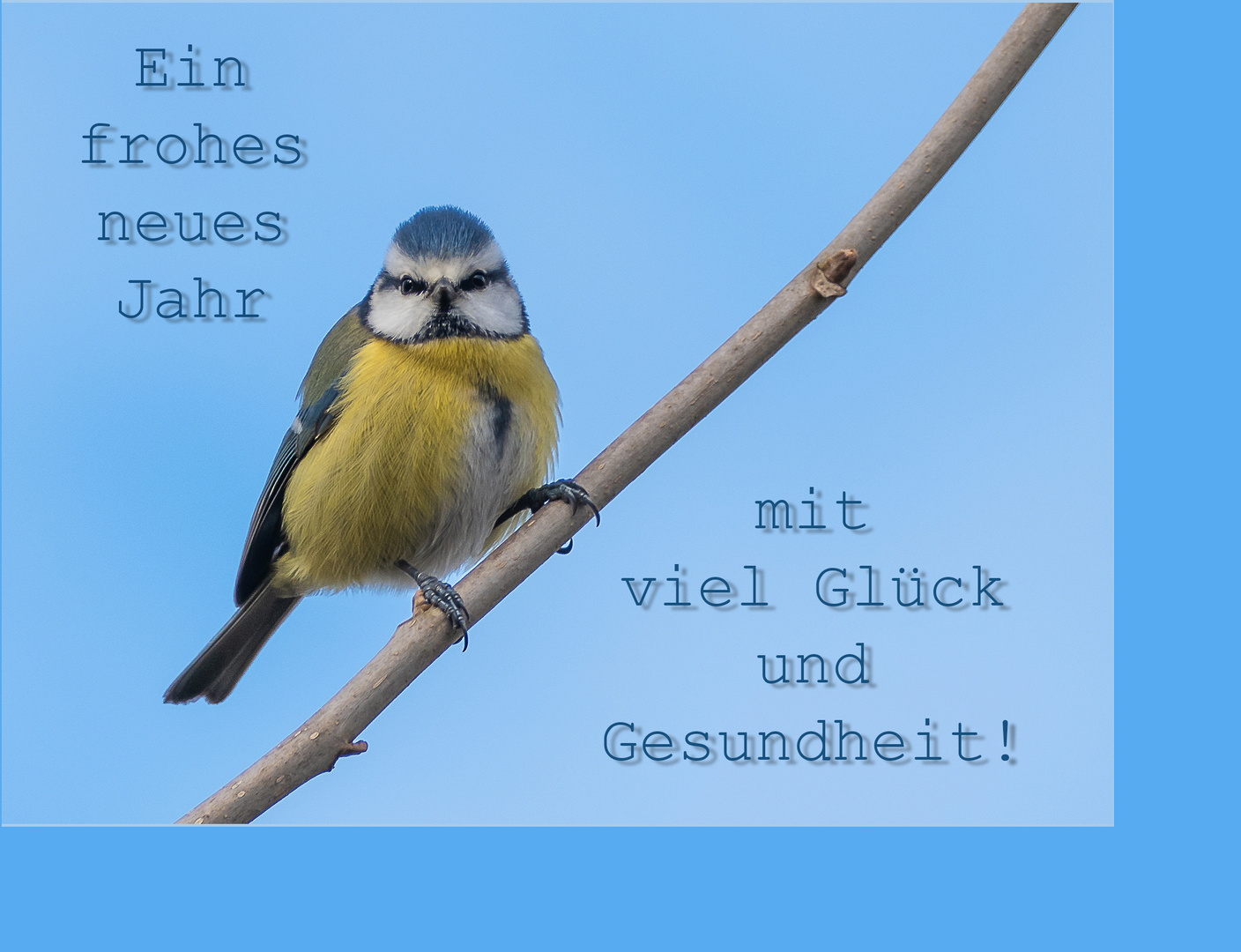 Ein frohes Neues Jahr mit viel Glück und Gesundheit!