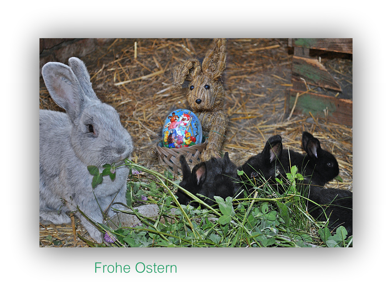 Ein frohes Osterfest