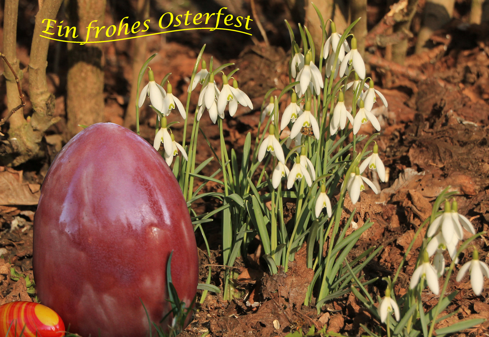 ein frohes Osterfest 2017