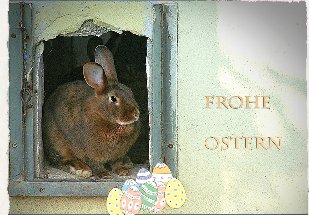 Ein frohes Osterfest....