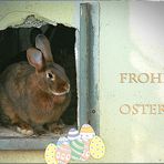 Ein frohes Osterfest....