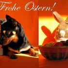 Ein frohes Osterfest :-)