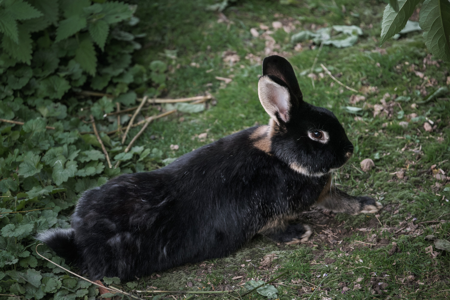 ein frohes Osterfest