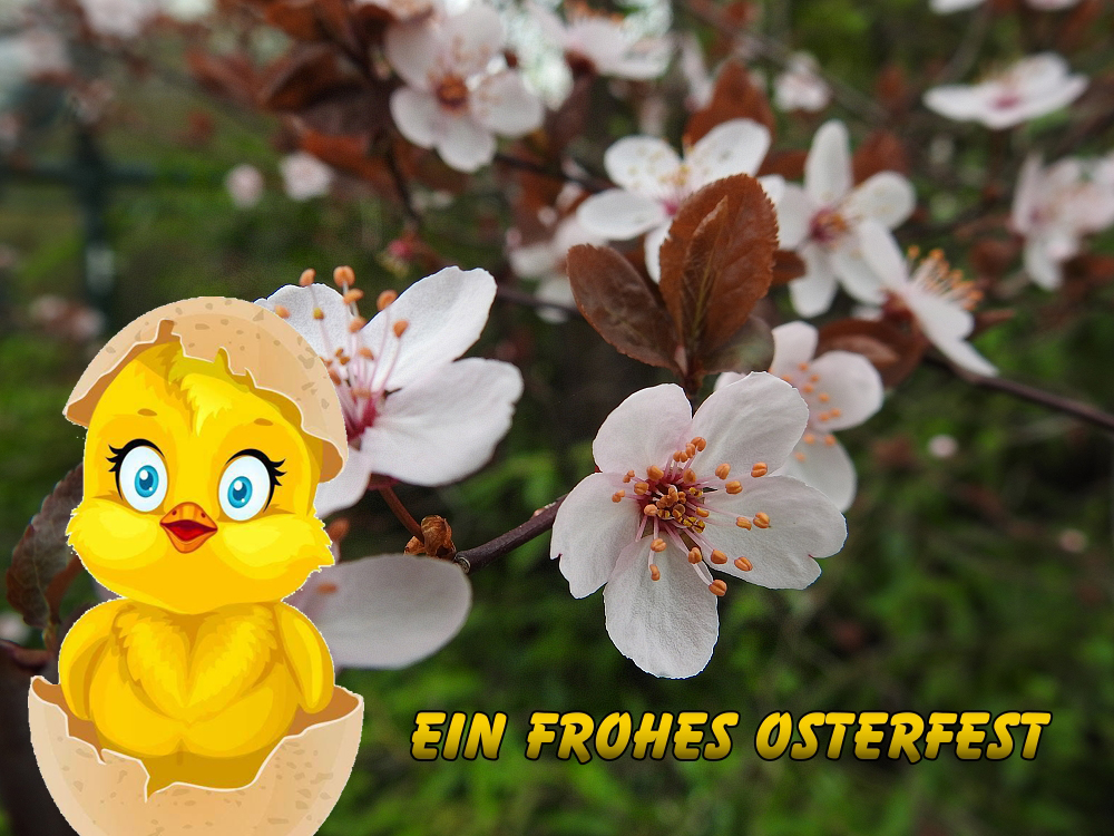 Ein frohes Osterfest 