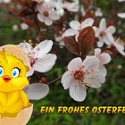 Ein frohes Osterfest 