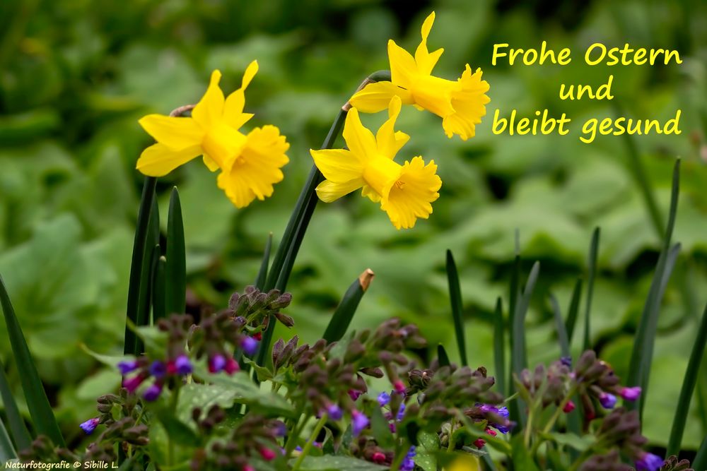 Ein frohes Osterfest