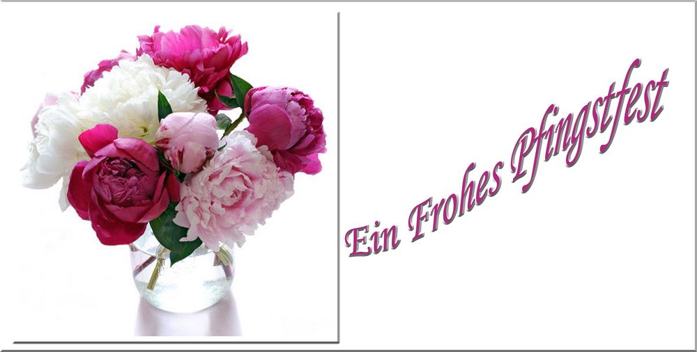 Ein Frohes Pfingstfest Foto & Bild pfingstrosen, wünsche, grüsse