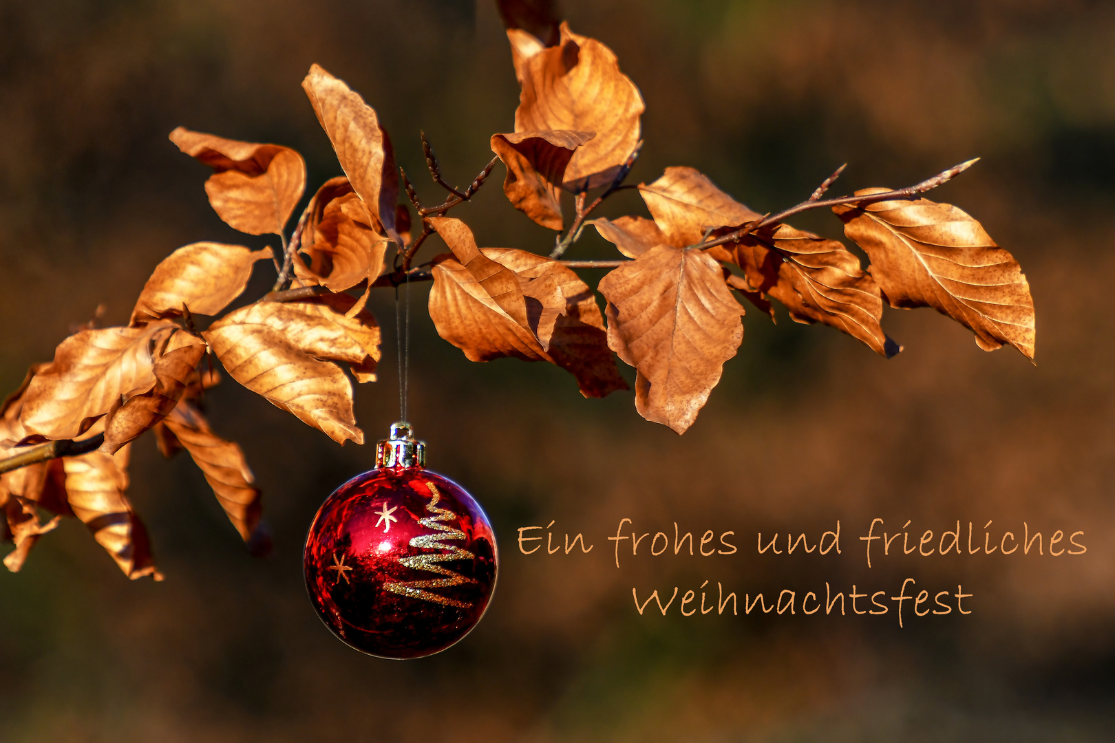 Ein frohes und friedliches Weihnachtsfest