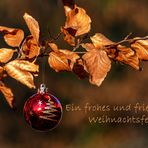 Ein frohes und friedliches Weihnachtsfest