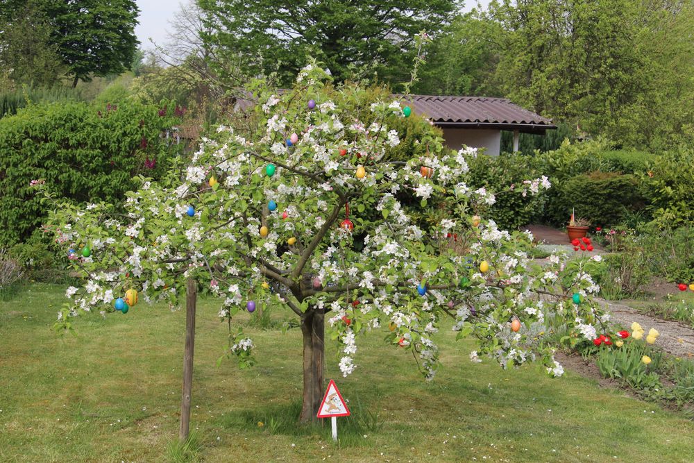 Ein frohes und schönes Osterfest, wünsche ich allen Fotofreunde /in