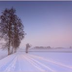 Ein frohes Weihnachtsfest .....