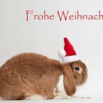 Ein frohes Weihnachtsfest