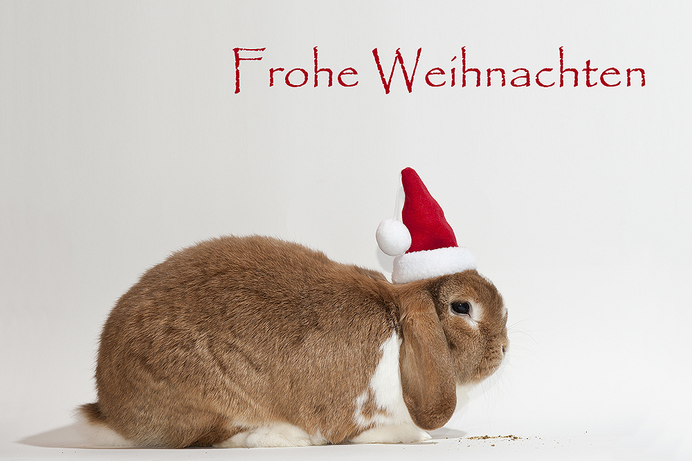 Ein frohes Weihnachtsfest