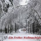 Ein frohes Weihnachtsfest .......