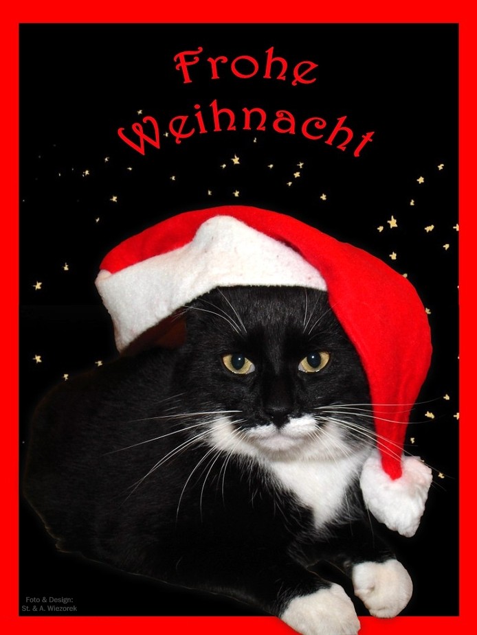 Ein frohes Weihnachtsfest,