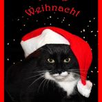 Ein frohes Weihnachtsfest,