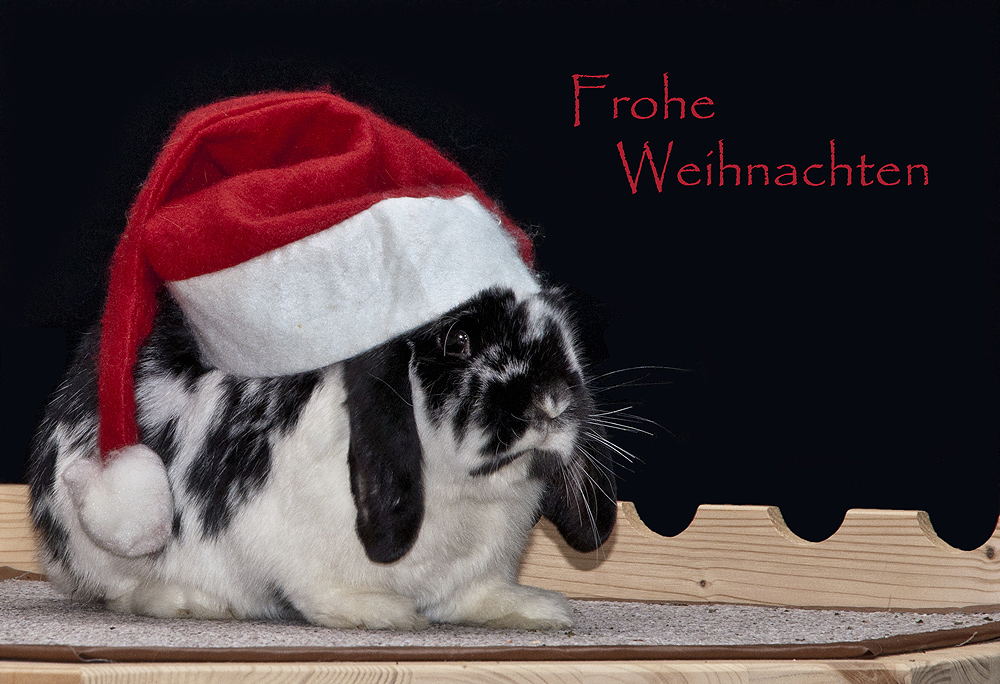 Ein frohes Weihnachtsfest