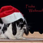 Ein frohes Weihnachtsfest