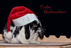 Ein frohes Weihnachtsfest