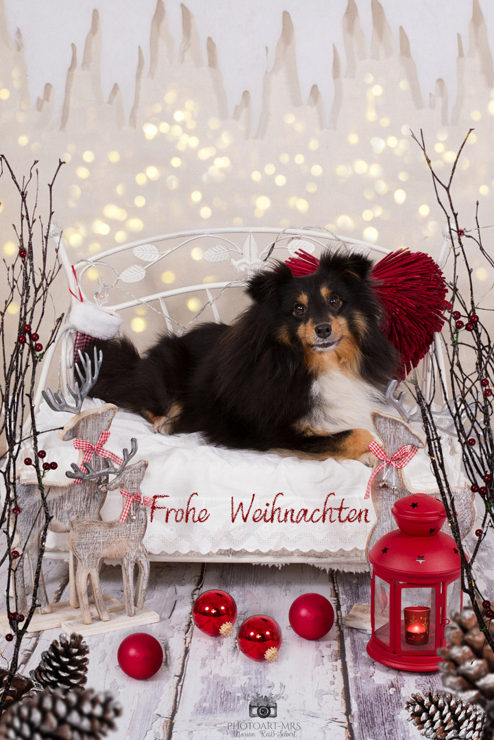 Ein frohes Weihnachtsfest